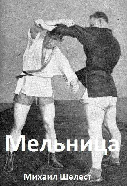 Мельница - Михаил Васильевич Шелест