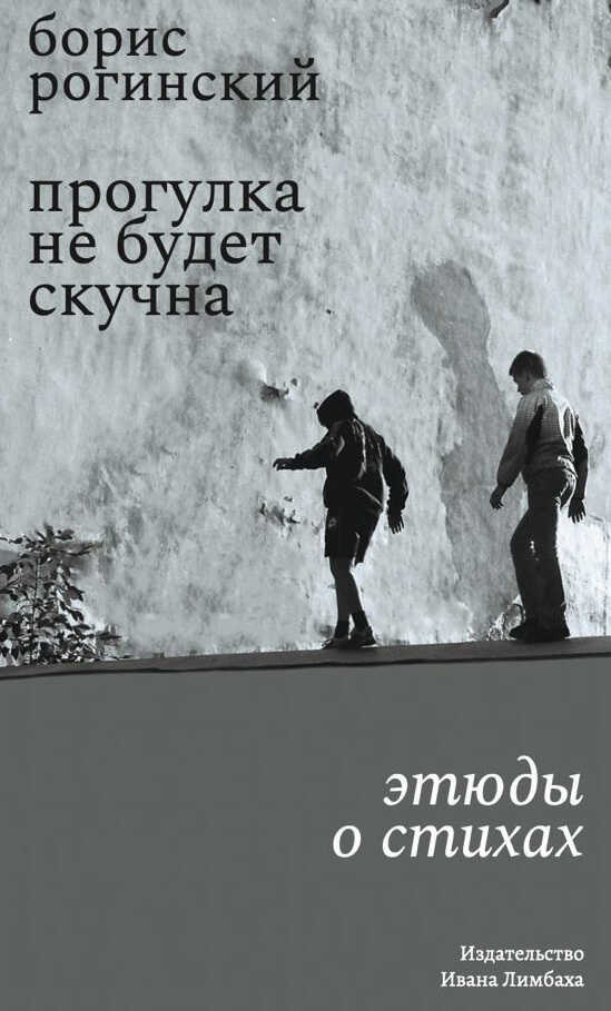 Прогулка не будет скучна - Борис Рогинский
