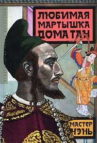 Мастер Чэнь - Любимая мартышка дома Тан