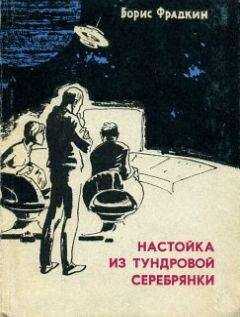 Борис Фрадкин - Настойка из тундровой серебрянки (сборник рассказов)