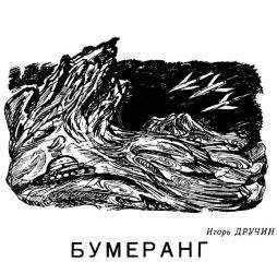Игорь Дручин - Бумеранг