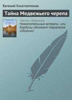 Евгений Константинов - Тайна Медвежьего черепа