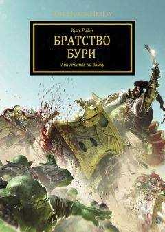 Крис Райт - Братство Бури